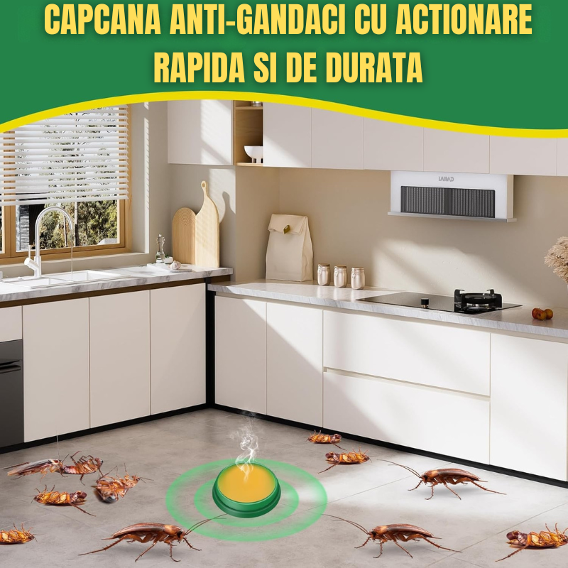 Capcana ANTIGANDACI